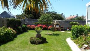 L 'olivier photo 12