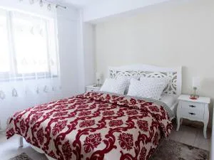 Carla's apartment, airport & train station shuttle - Aroneanu