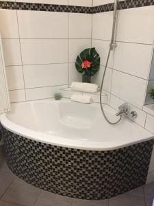 Schönbrunn Apartment