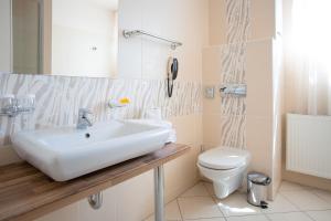 One-Bedroom Suite room in Hotel U Pramenu