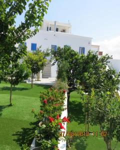 Andoni's House Andros Greece