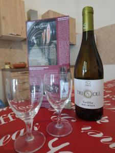 Apartment of kite and wine