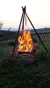 Maisons de vacances Une pause sur la colline : photos des chambres