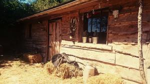 Chalets La Cabane Aux Loups : photos des chambres