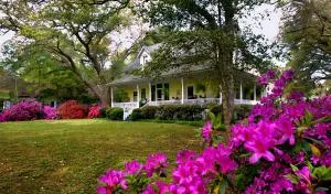Magnolia Springs Bed and Breakfast - Silverhill