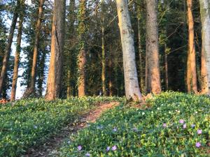 Sejours a la campagne Chateau de Villers-Bocage : photos des chambres