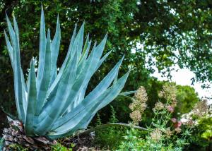 Villa Eliodora - due appartamenti