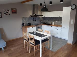 Apartamenty pod Dzikowcem
