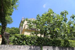 New, sunny apartment surrounded by nature