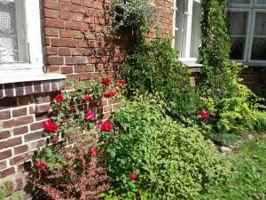 Posti Guest Apartment - Suure-Jaani