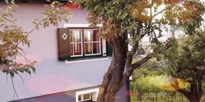 Franz Josef am Ratschenberg