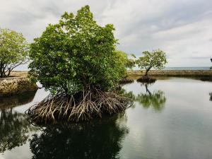 Costa Aguada Island Resort, Inampulugan Island, Sibunag, Guimaras