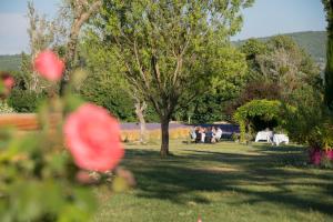 B&B / Chambres d'hotes La Bastide des Bourguets - Adults Only : photos des chambres