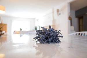 B&B / Chambres d'hotes La Bastide des Bourguets Adults Only, Mont Ventoux : photos des chambres