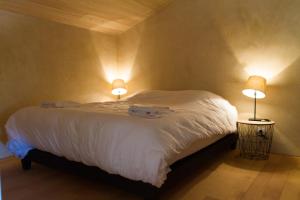 B&B / Chambres d'hotes Le Puy Carmin - Chambre d'hotes avec jacuzzi : photos des chambres