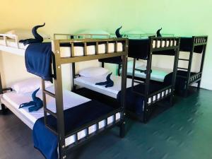 Ella Escapade Hostel