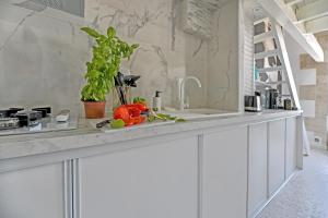 Appartement Romanité photo 18