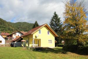 Narrenhaus