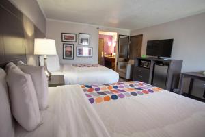 Queen Room with Two Queen Beds room in La Quinta by Wyndham Goodlettsville - Nashville