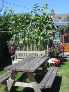 Perfect for Petersfield B&B