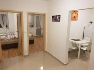 NEWLY BUILT APARTMENT 4 WITH BALCONY NEAR CENTER - Komín