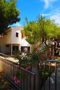 Viški cvit - Rukavac