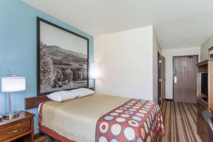 Queen Room - Disability Access/Non-Smoking room in Super 8 by Wyndham Danville VA
