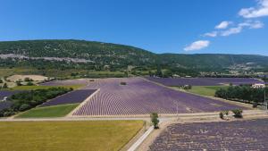 B&B / Chambres d'hotes La Bastide des Bourguets Adults Only, Mont Ventoux : photos des chambres