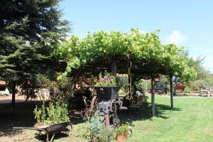 LEmiliano Cabañas-Ristorante