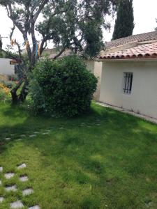 Appartements studio avec exterieur : photos des chambres