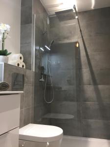 Appartements Les Mermes a Veigy 10mn de Geneve : photos des chambres