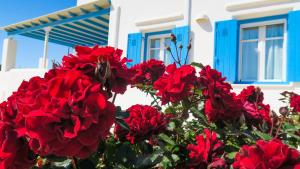 Villalula Suites Paros Greece