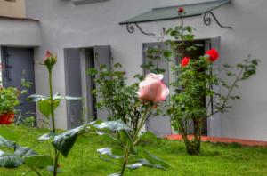 La Parenthèse photo 12