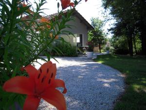 Maisons de vacances Chalet Rocamadour : photos des chambres