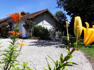 Maisons de vacances Chalet Rocamadour : photos des chambres