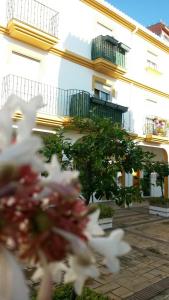 Lujoso duplex en la playa con vistas al mar