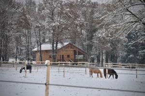 Maisons de vacances Open Range : photos des chambres