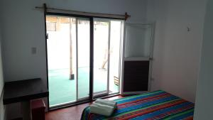 Galapagos Morning Glory