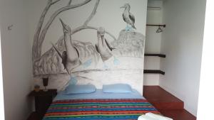 Galapagos Morning Glory