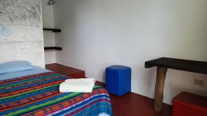 Galapagos Morning Glory