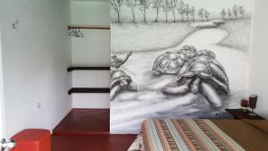 Galapagos Morning Glory