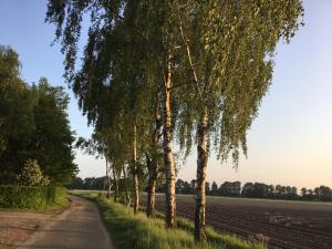 B&B Op t Eikenschoor