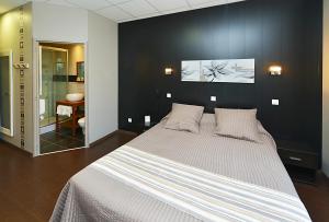 Hotels Logis Hotel du Midi - Rodez Centre-Ville : photos des chambres