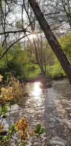 B&B / Chambres d'hotes Le Moulin Hodoux : photos des chambres