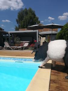 Logis Auberge de la Truffe - Hotel de la Truffe photo 6