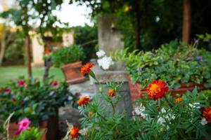 Antica Pinciana Agriturismo