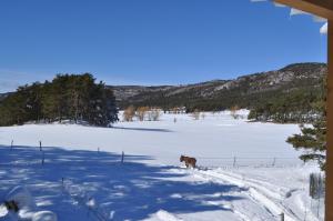 Cabane des Guernazelles