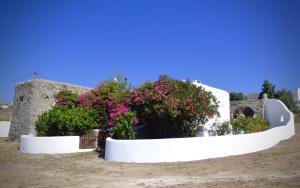 Talu Lovely and Homely Mykonian Cottage Panormos Kreeka