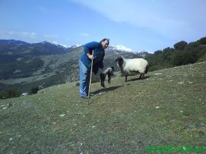 Luxury Chalet Vila on Mountain Top with great view Achaia Greece