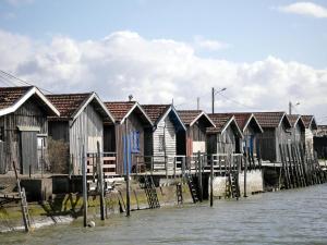Appartements Au coeur du Bassin d'Arcachon : photos des chambres